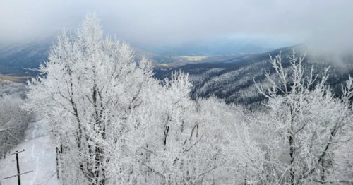 A snowy landscape with frosted trees and mountains under a cloudy sky.