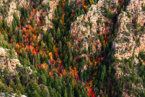 Vibrant autumn foliage in a rocky landscape, featuring a mix of red, orange, and green trees.