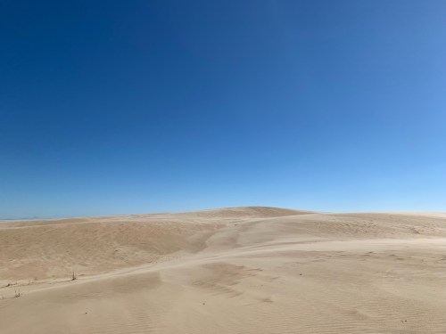 A vast desert landscape with rolling sand dunes under a clear blue sky.