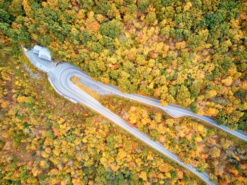 Aerial view of winding roads through vibrant autumn foliage, with a small building nestled among the trees.