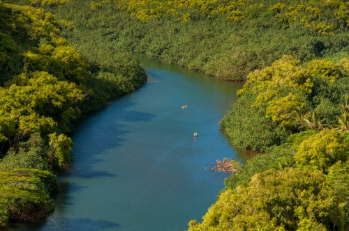 A serene river winding through lush green vegetation, with two kayakers paddling in the water.