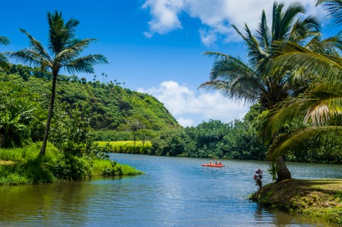 A serene river scene with lush greenery, palm trees, and two people kayaking under a bright blue sky.