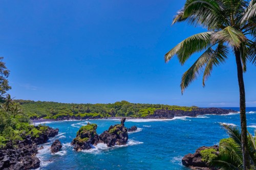 Lush tropical landscape with rocky coastline, clear blue water, and palm trees under a bright blue sky.