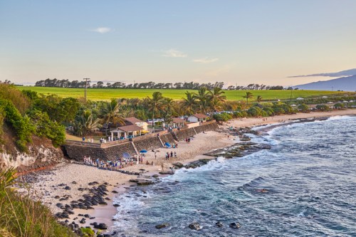 A scenic beach view with people, palm trees, and a coastal building against a backdrop of green hills and ocean waves.