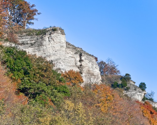 A rocky cliff with colorful autumn foliage and a clear blue sky above.
