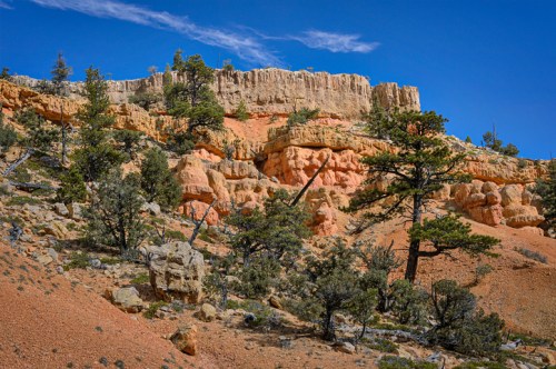 A colorful rocky landscape with layered cliffs and scattered trees under a clear blue sky.