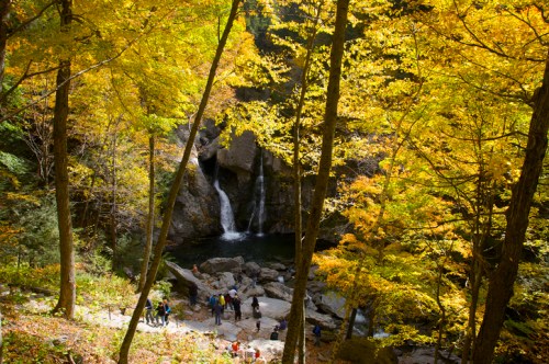 A scenic view of a waterfall surrounded by vibrant autumn foliage and people exploring the rocky area below.
