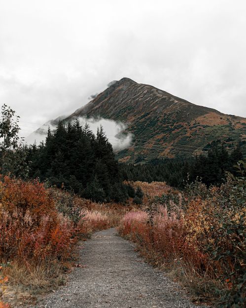 A winding path leads through colorful foliage towards a misty mountain under a cloudy sky.