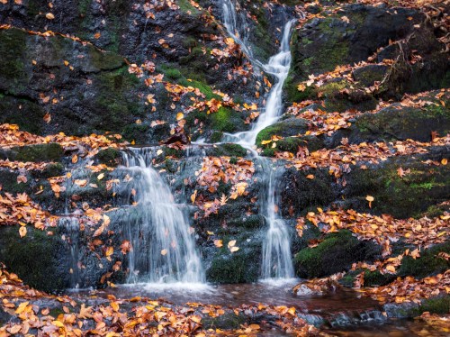 A serene waterfall cascades over mossy rocks, surrounded by vibrant autumn leaves.