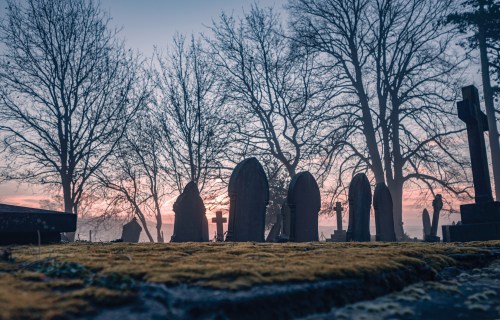 Silhouetted gravestones and bare trees against a soft, colorful sunrise in a serene cemetery setting.