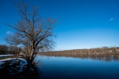 A serene river scene with a bare tree on the bank, reflecting blue skies and calm water. Snow is visible along the shore.