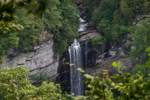 A serene waterfall cascading down rocky cliffs, surrounded by lush green trees and foliage.