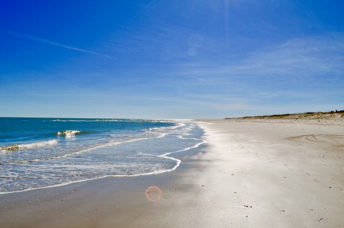 A serene beach scene with gentle waves, a clear blue sky, and a sandy shore stretching into the distance.