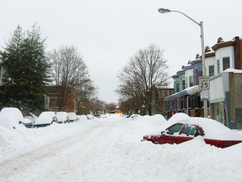 Snow-covered street with parked cars buried in snow, lined by bare trees and residential buildings under a gray sky.