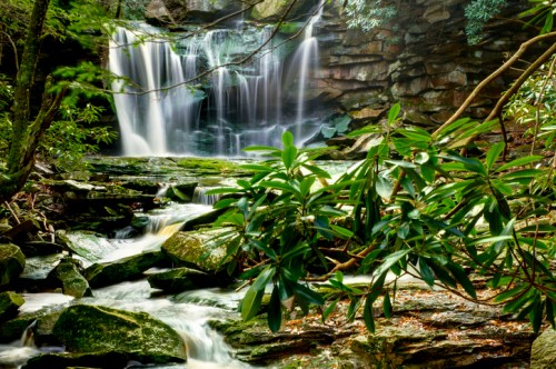 A serene waterfall cascades over rocks, surrounded by lush greenery and vibrant foliage.
