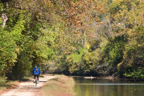 A cyclist rides along a scenic path beside a calm canal, surrounded by lush greenery and autumn foliage.
