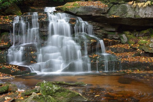 A serene waterfall cascades over rocks, surrounded by autumn leaves and lush greenery.
