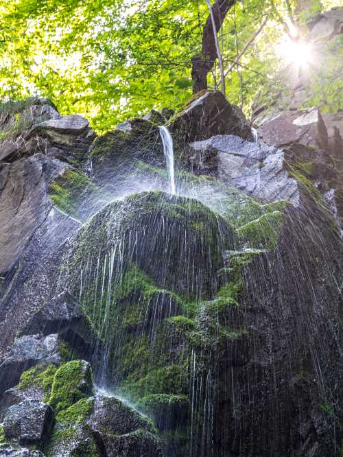 A cascading waterfall flows over moss-covered rocks, surrounded by lush green foliage and sunlight filtering through trees.