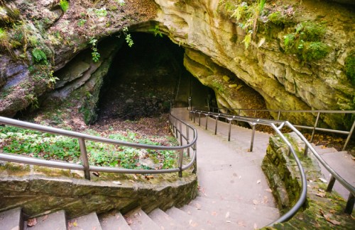 A winding staircase leads down into a dark cave surrounded by lush greenery and rocky walls.