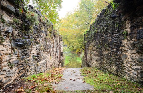 A narrow pathway between moss-covered stone walls, leading to a serene, overgrown area with trees in the background.