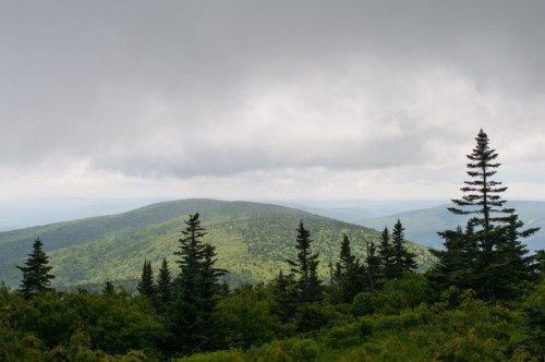 A scenic view of rolling green hills under a cloudy sky, with evergreen trees in the foreground.