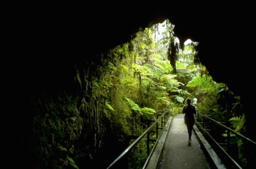 A person walks along a path through a lush, green cave surrounded by ferns and natural rock formations.