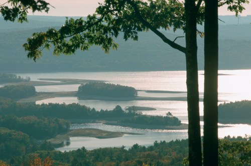 A serene landscape featuring a river winding through lush greenery, framed by tall trees and a soft, hazy sky.