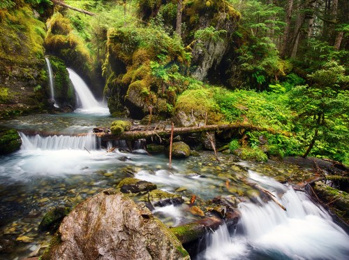 A serene forest scene featuring a flowing stream, moss-covered rocks, and lush greenery. Water cascades gently over stones.