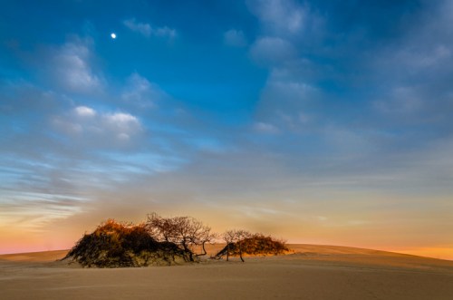 A serene desert landscape at sunset, featuring a small hill with sparse trees against a colorful sky.
