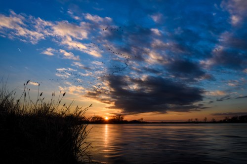 A serene sunset over a calm river, with birds flying across a colorful sky filled with clouds.