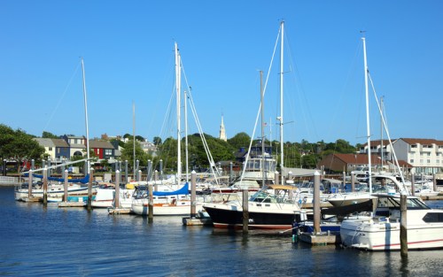 A sunny marina with several sailboats and motorboats docked, surrounded by trees and buildings in the background.