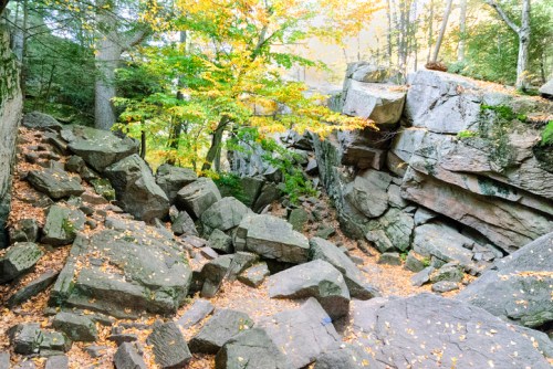 A rocky landscape with large boulders and autumn foliage, illuminated by soft sunlight filtering through the trees.