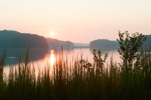 Sunrise over a calm lake, with silhouettes of trees and tall grass in the foreground, creating a serene atmosphere.