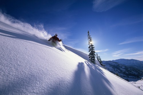 A skier carves through fresh powder snow on a sunny day, with mountains and a tree in the background.