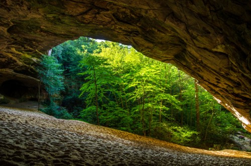 A sandy cave entrance frames a lush green forest with sunlight filtering through the trees.