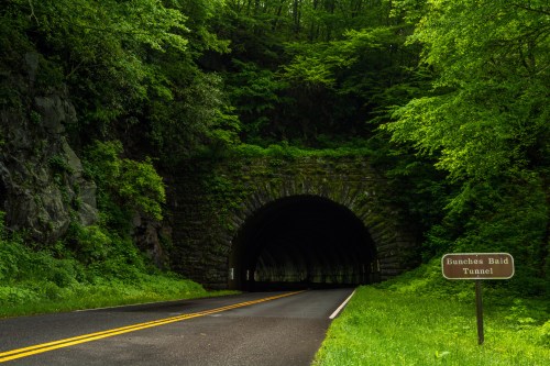 A road leads to a dark stone tunnel surrounded by lush green trees and foliage, with a sign for Bunches Bald Tunnel.