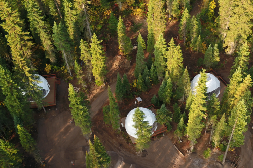 Aerial view of two circular cabins nestled among tall green trees in a forested area.