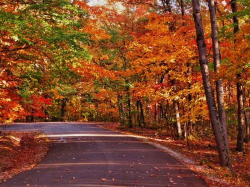 A winding road surrounded by vibrant autumn foliage in shades of red, orange, and yellow.