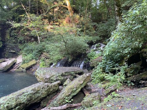 A serene forest scene featuring a small waterfall, lush greenery, and large rocks near a calm body of water.