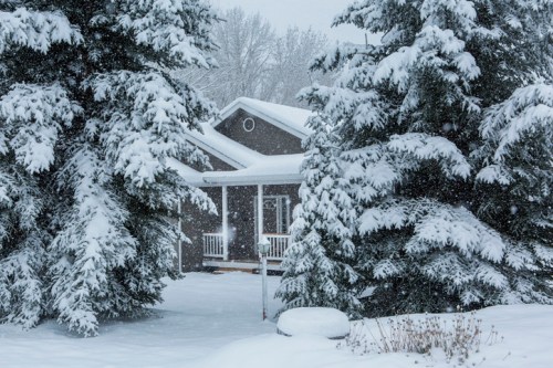 A cozy house surrounded by snow-covered trees during a heavy snowfall.
