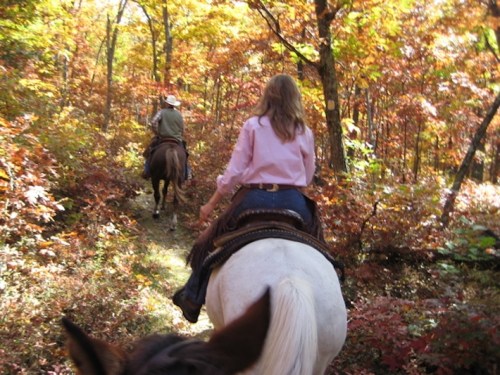 Two people riding horses along a wooded trail with vibrant autumn foliage.