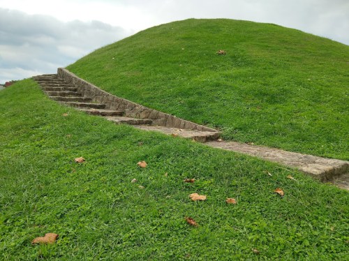 A grassy hill with stone steps leading up, surrounded by scattered leaves and a cloudy sky.