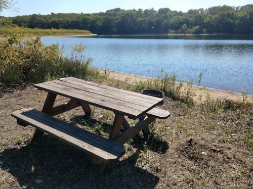 A wooden picnic table by a calm lake, surrounded by greenery and trees under a clear blue sky.