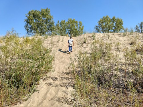 A person walks up a sandy hill surrounded by green vegetation and trees under a clear blue sky.