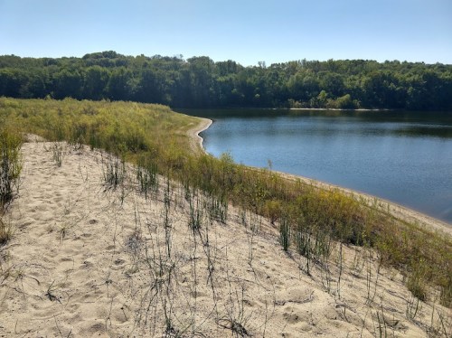 A sandy shore with grass leads to a calm lake surrounded by lush green trees under a clear blue sky.