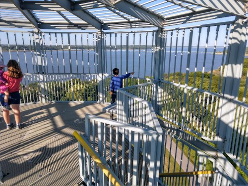 A boy points towards a river from a metal observation tower, while a girl stands nearby, enjoying the view.