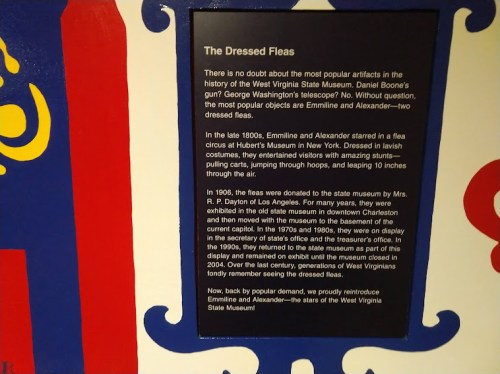 Text panel about "The Dressed Fleas" exhibit at the West Virginia State Museum, detailing its history and significance.