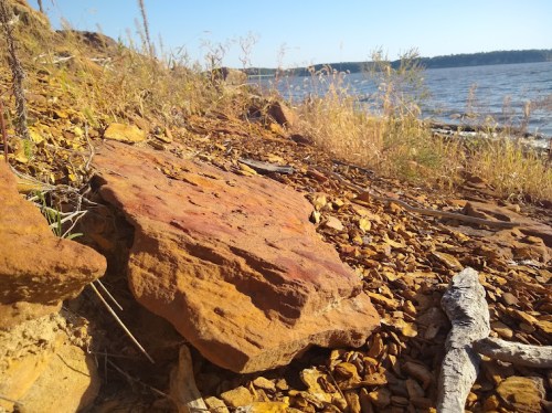 A rocky shoreline with reddish stones and dry grass, overlooking a calm body of water under a clear blue sky.