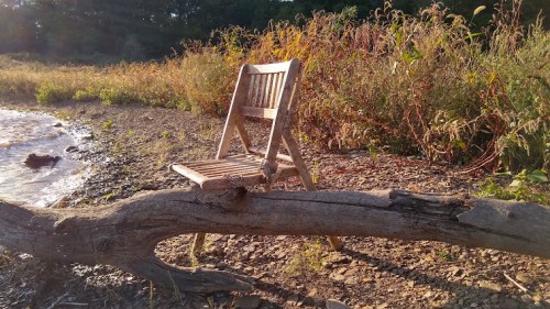 A weathered wooden chair sits on a log by a riverbank, surrounded by tall grass and plants in soft sunlight.