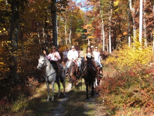 A group of people riding horses along a wooded trail with vibrant autumn foliage.